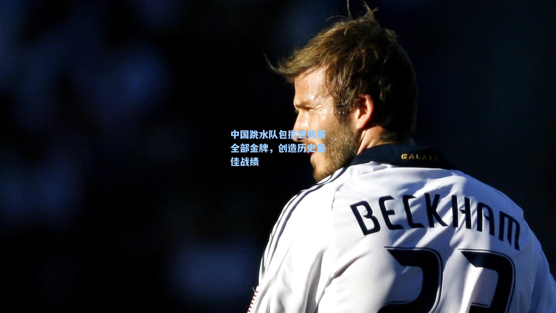 中国跳水队包揽世锦赛全部金牌，创造历史最佳战绩